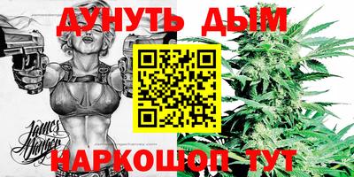 альфа пвп Новокубанск