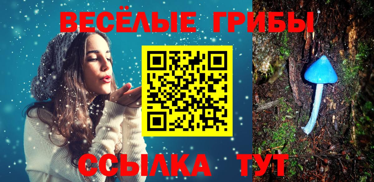 Сланцы  Галлюциногенные грибы ЛСД  Вход с VPN  Псилоцибиновые грибы мицелий 